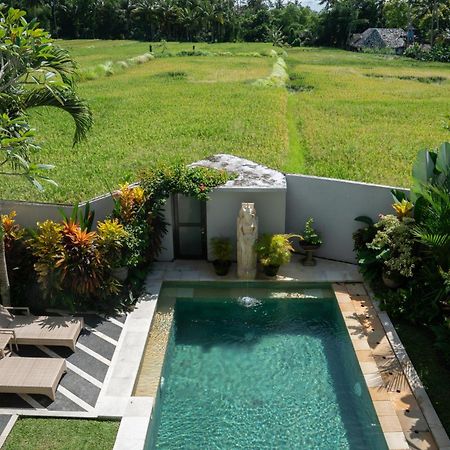 Ananditha Villa Ubud Ricefield Views Екстер'єр фото