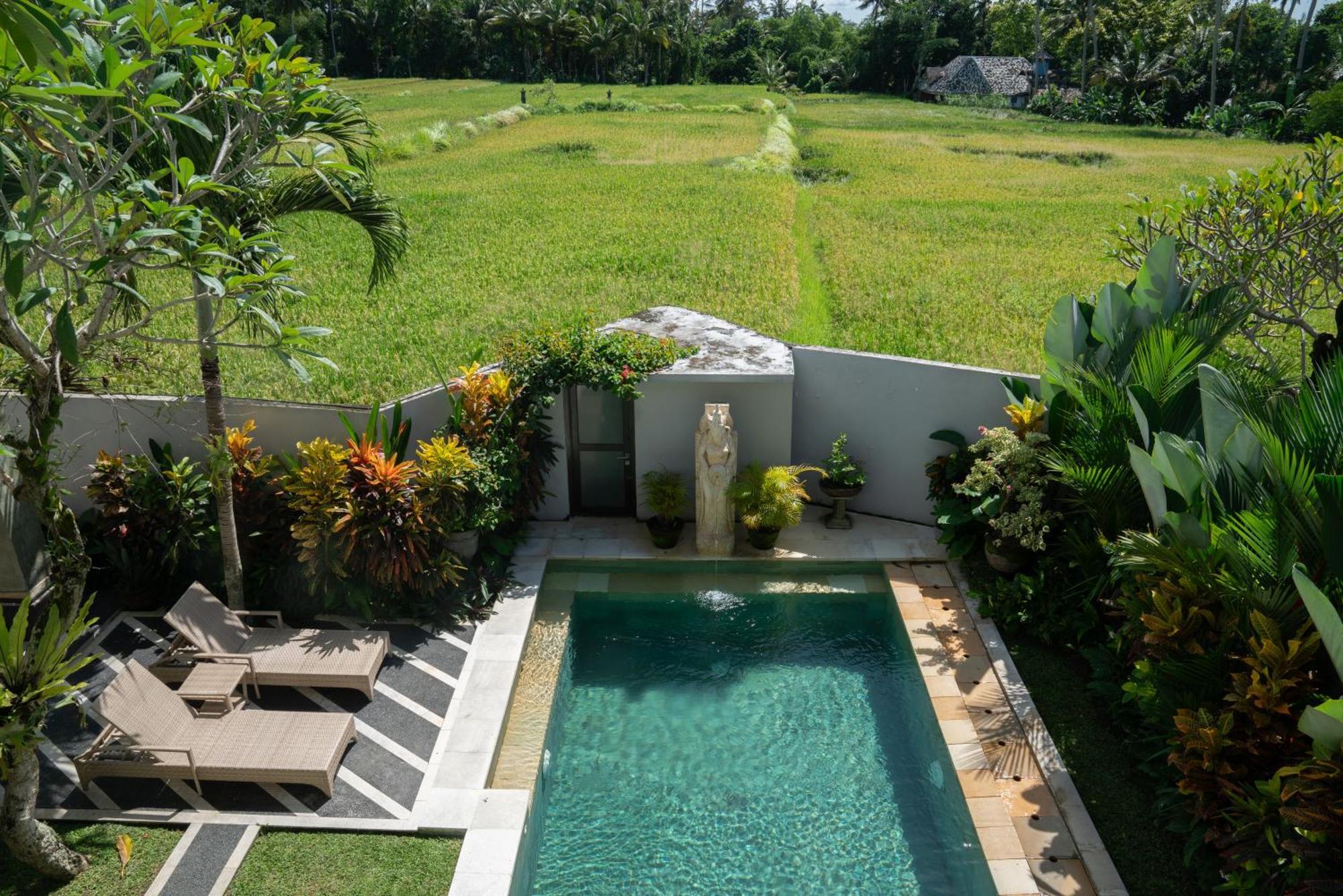 Ananditha Villa Ubud Ricefield Views Екстер'єр фото