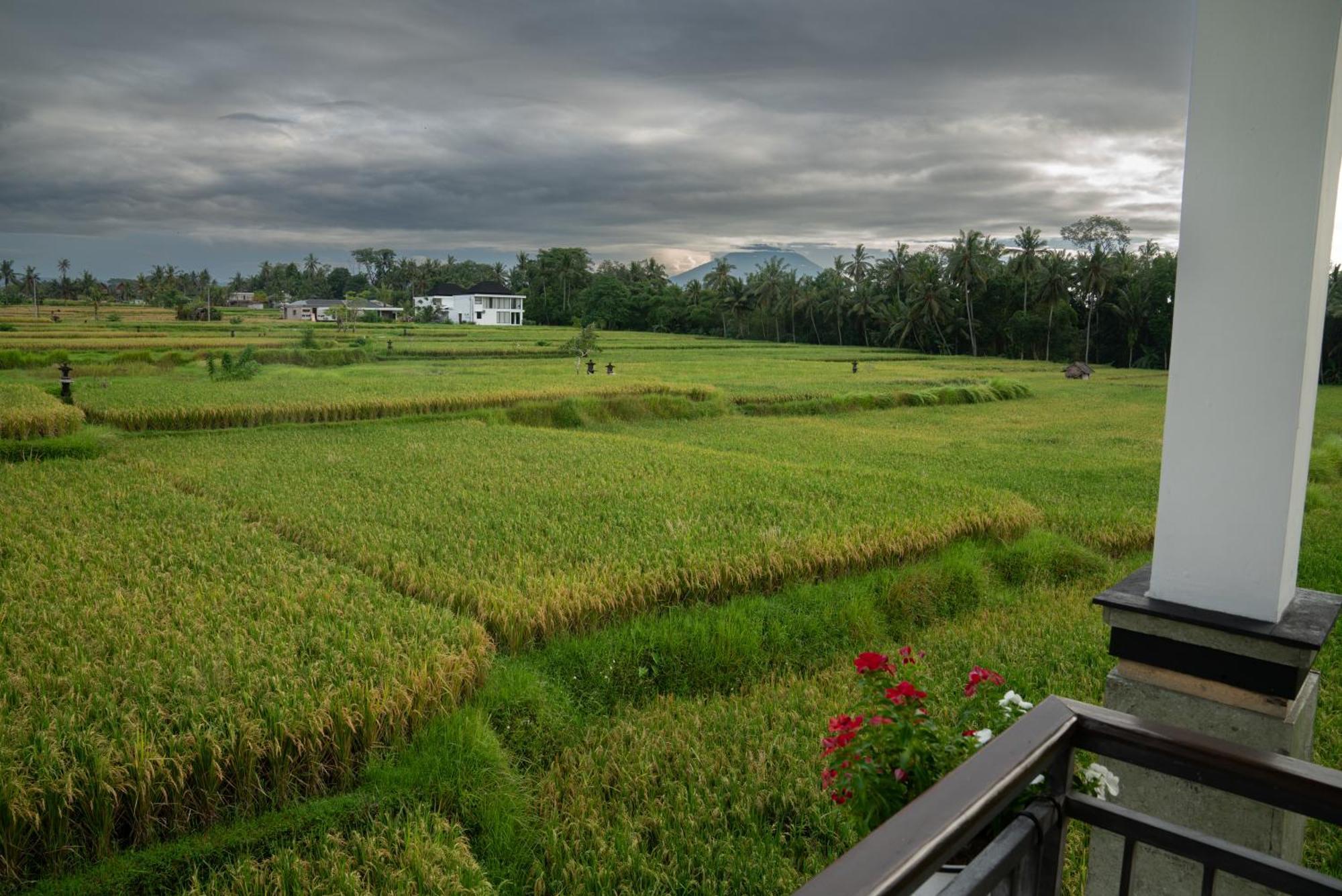 Ananditha Villa Ubud Ricefield Views Екстер'єр фото